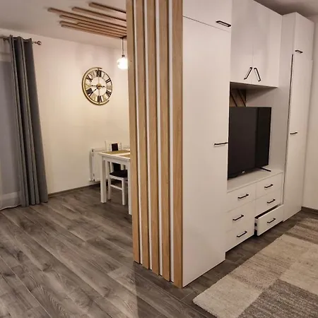 شقة Flavius 's 11 كلوج-نابوكا